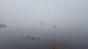 20171209_100742