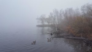 20171209_100910
