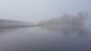 20171209_101432