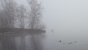 20171209_101704
