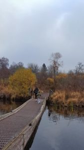 20171209_104110