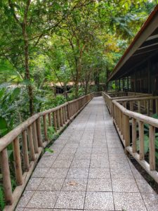 Evergreen Lodge