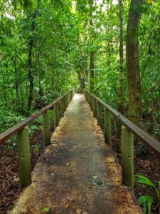 Nature Trail