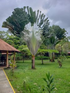 Evergreen Lodge