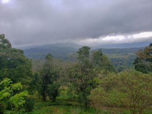 Scenery