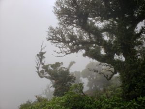 Scenery