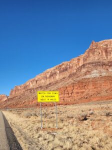 2025-03-08 07.58.43-1