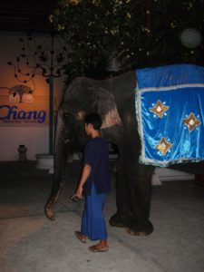 DSCN5237