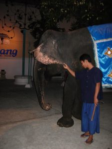 DSCN5239