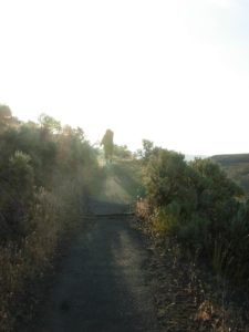 DSCN5423