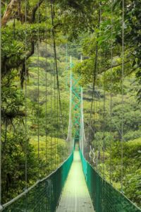 Hanging Bridge in Monteverde Cloud Forest