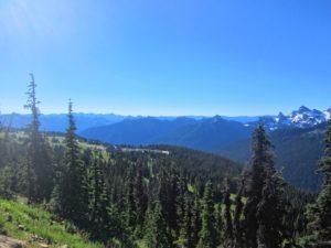 IMG_5046