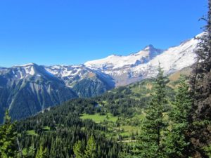 IMG_5048