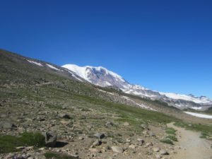 IMG_5053