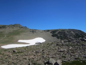 IMG_5054