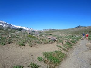 IMG_5059