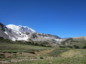 IMG_5068