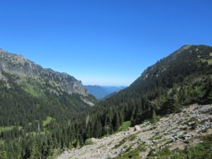 IMG_5075