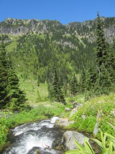 IMG_5093