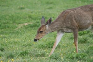 IMG_9589