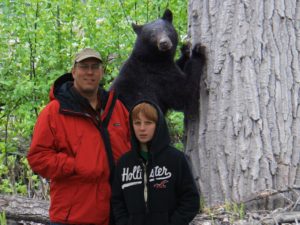 the bear